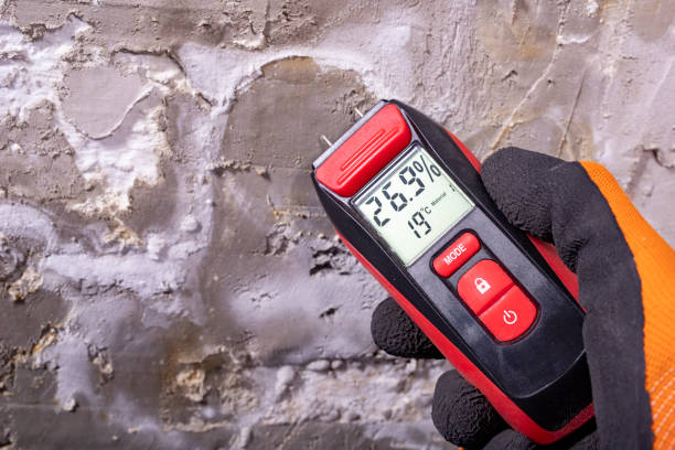 Best Mold Cleaning Services  in Rice, MN