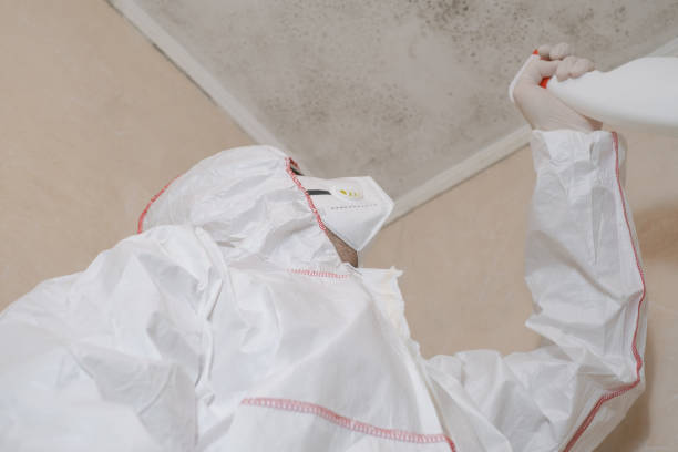 Best Professional Mold Removal  in Rice, MN