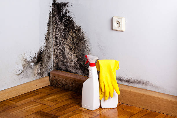 Water Damage Restoration in Rice, MN